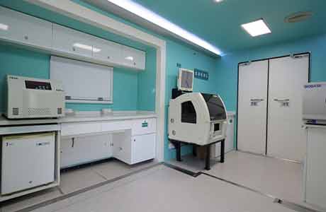 Epidemic disposal weapon